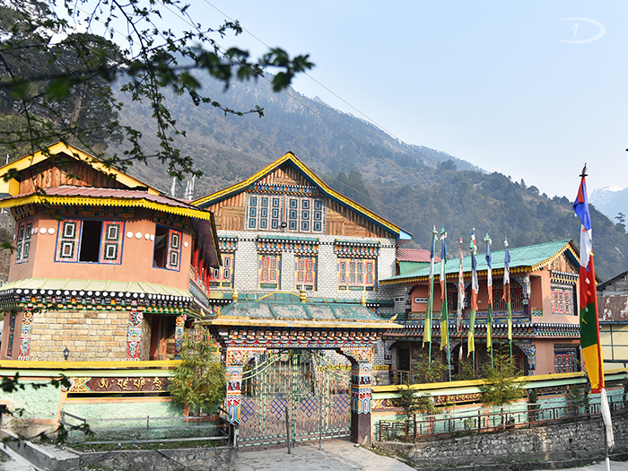 Journey of A Lifetime